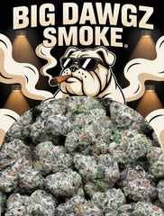 L'Atelier Starhush (Indica)