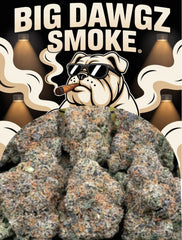 MAC-Watermelon Exotics Terp 🍉