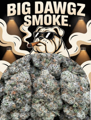 Purple Push Pop(Indica)