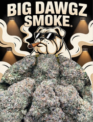 Apple Fritter (Indica)