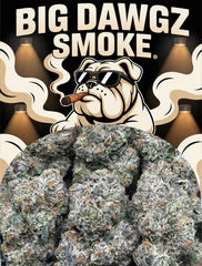 Blue Cherry Gelato (Indica Hybrid)