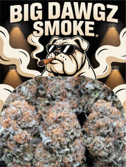 Cracker Pack (Hybrid)