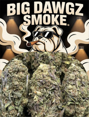 Cheetah Pizz (Indica)