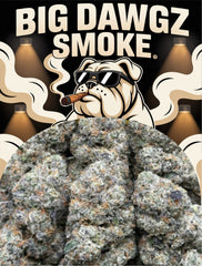 Black Mirror Snowiest (Hybrid)