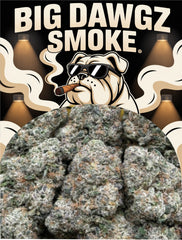 Ice Cream Runtz (Indica Hybrid)