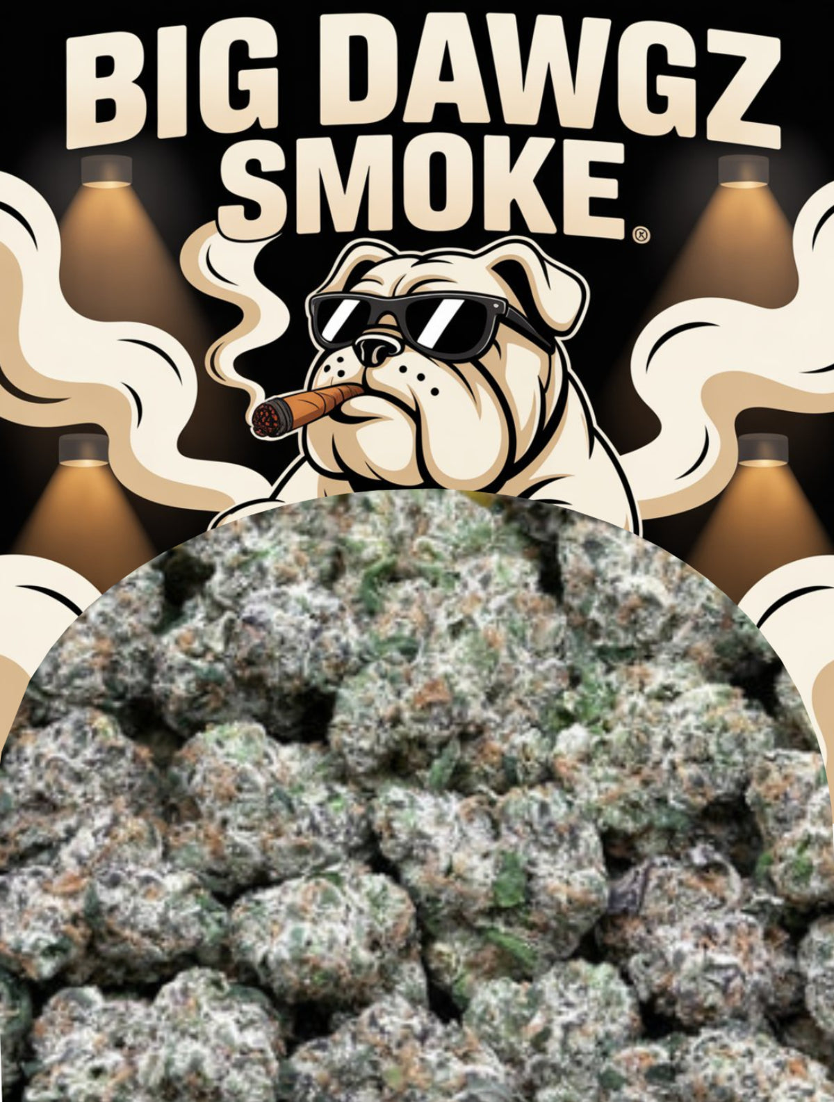 L'Atelier Starhush (Indica)