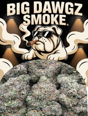 Blue Gummiez (Indica)