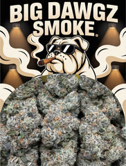 Rainbow Sherbet (Hybrid)