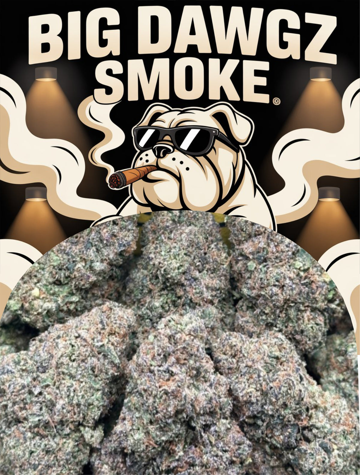 Apple Fritter (Indica)