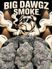 Cherry Zashimi (Indica)