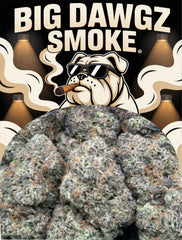 Cadillac Runtz (Hybrid)