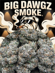 Jealousy X Gelato (Indica)