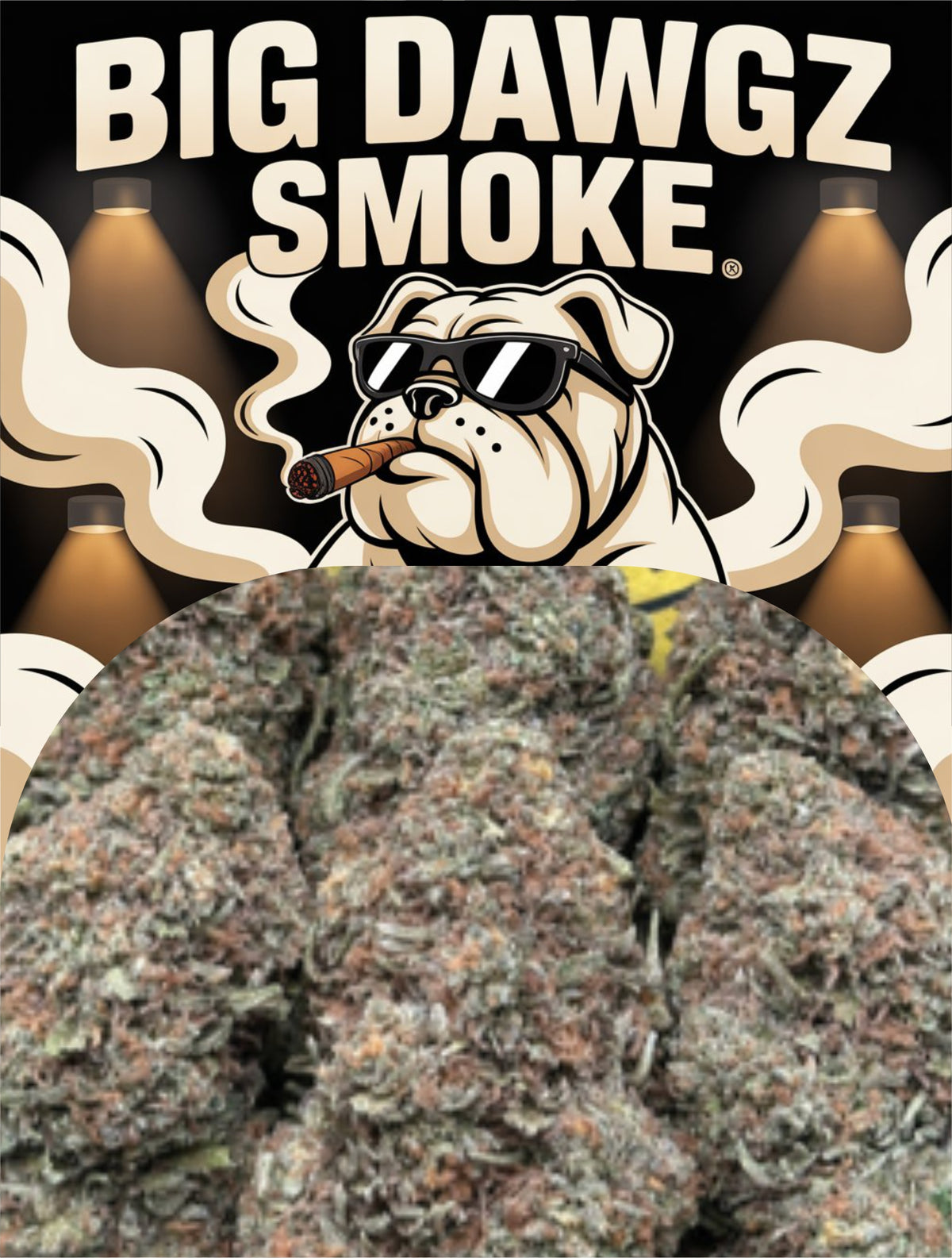 Gelato Paloma (Indica)