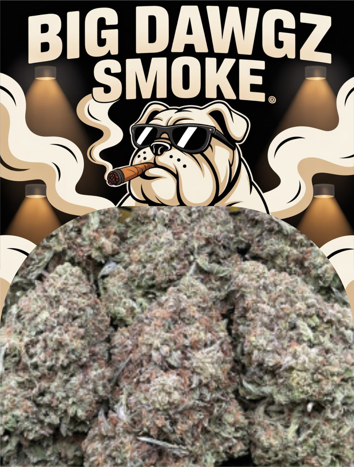 Orange Push Pop(Hybrid)