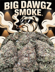 Orange Push Pop(Hybrid)